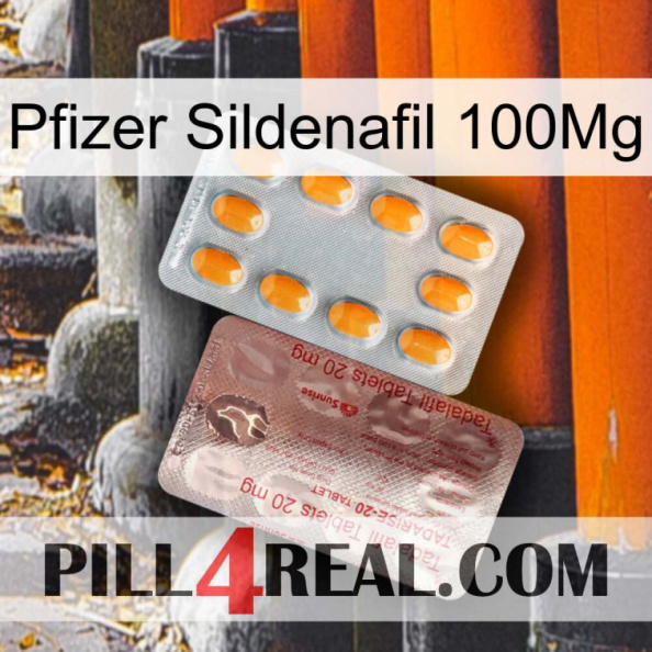 Pfizer Sildenafil 100Mg new13.jpg